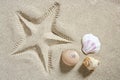 Beach sand starfish print shells Royalty Free Stock Photo