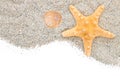 Beach with sand starfish and shell