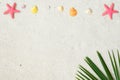 Beach sand with starfishs, shells and coconut leaves. Royalty Free Stock Photo