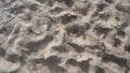 Many fine grains of sand lie on the beach.