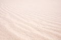 Beach sand texture background.Macro shot. Royalty Free Stock Photo