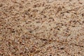 Beach sand texture background with tiny stones Royalty Free Stock Photo