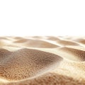 Beach Sand Texture HighRes Image On Transparent Background Royalty Free Stock Photo