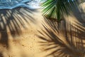 Beach sand texture with palm leaf shadow and water drops, top view, close up, concept of empty space Royalty Free Stock Photo