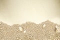 Beach sand texture with sea shells. Sandy beach for background. Top view bounty island copy space background texture