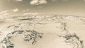 Beach Sand Wetland Plants Dunes Sepia Landscape Royalty Free Stock Photo