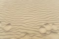 Beach sand waves