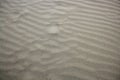 Beach sand waves warm texture background Royalty Free Stock Photo