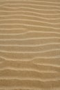 Beach sand waves warm texture background