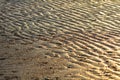 Beach sand waves Royalty Free Stock Photo