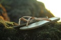 Brown sandals on sea rock with seaweed growth background. Royalty Free Stock Photo