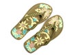 Beach sandals Royalty Free Stock Photo