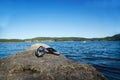 Beach sandals Royalty Free Stock Photo