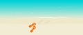 Beach sandals shoe in summer sea white sand relax background banner top view vector image illustration, swim time, above seaside