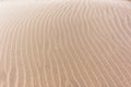 Beach Sands Textures