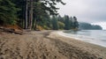 Moody Beachscape With Fir Trees: A Tranquil Blend Of Sand And Forest