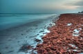 The Beach of Sanibel Royalty Free Stock Photo