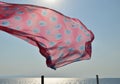 Beach scarf flying on summer breeze with sea horizon Royalty Free Stock Photo