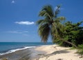 Beach Scene