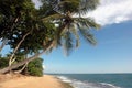 Beach Scene