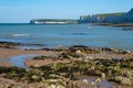 Beach scene with sand, rocks, seaweed and water Royalty Free Stock Photo