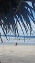 Beach Scene - Coolangatta Beach from the shade of the Rocks, Coolangatta Qld  Australia Royalty Free Stock Photo