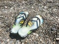 Beach scene with flip flop sandals lying on sea coquina shells and pebbles on the beach. Travel concept