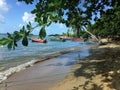 A scene from the island of Martinique