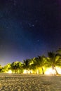 Beach scene at night. Stars and milky way with palm trees and sandy beach Royalty Free Stock Photo