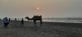 A beach scene on regular busy weekend in Daman, India Royalty Free Stock Photo