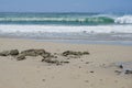 Beach scene with rocks in the foreground and waves breaking in the background Royalty Free Stock Photo