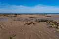 Beach scene with sand, rocks, seaweed and water Royalty Free Stock Photo