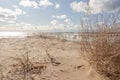 Beach Scene with sand, sea, dune grasses and sky Royalty Free Stock Photo