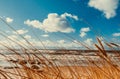 Beach Scene with sand, sea, dune grasses and sky Royalty Free Stock Photo