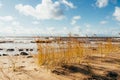 Beach Scene with sand, sea, dune grasses and sky Royalty Free Stock Photo