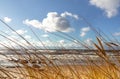 Beach Scene with sand, sea, dune grasses and sky Royalty Free Stock Photo