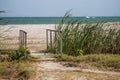 Beach scene with small wood bridge and little tree and sand