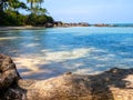 Beach scene, summer background. Close-up big tree trunk on the sand beach, coastline with tropical trees on rock hill. Royalty Free Stock Photo