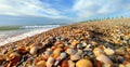 Beach scene in summer holiday, blue sky with clouds and sea shells Royalty Free Stock Photo