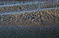 Beach scene, tides out, texture effects.