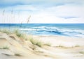 The Beach Scene: A View of the Ocean Dunes