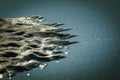 Beach scenery with beautiful sand pattern at low tide Royalty Free Stock Photo