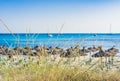 Beach scenery with boats at blue seaside Royalty Free Stock Photo