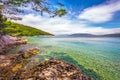 Beach scenery with pine tree in Croatia, Istria, Europe Royalty Free Stock Photo