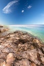 Beach scenery with pine tree in Croatia, Istria, Europe Royalty Free Stock Photo