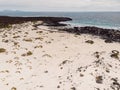 Beach with sea and black stones in Lanzarote. Aerial view