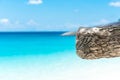 Beach sea and brance Royalty Free Stock Photo