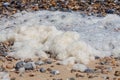 Beach sea foam on the shore. Organic spume from waves.