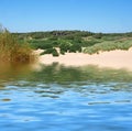 Beach from the sea at formby with dunes covered in marram grass and vegetation with forest landscape visible in the distance