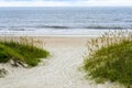 Beach and Sea Grass in Florida Royalty Free Stock Photo